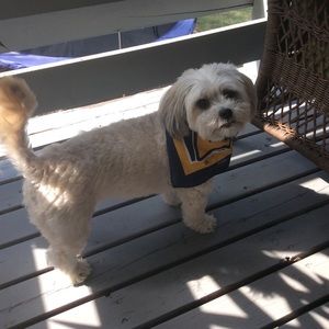 Meet your Posher, Cindy